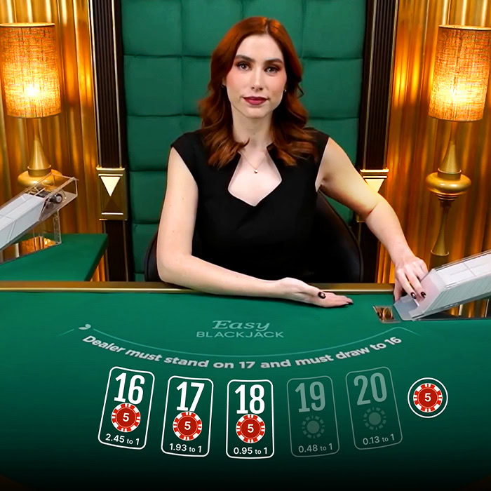 Blackjack 516U